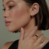 THE HINGED HOOPS