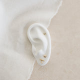 THE WISHBONE EARRINGS