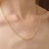 THE OVAL BELCHER CHAIN