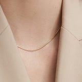 THE CURB CHAIN